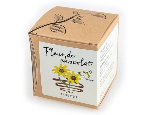 Anzucht Fleur de chocolat Set mit Schokoladenblume