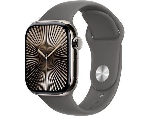 Apple Watch S10 CEL 42 Natural Titanium M mit Stone Grey Sport Band - M/L