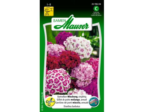 Bartnelke einjährige Mischung Dianthus barbatus