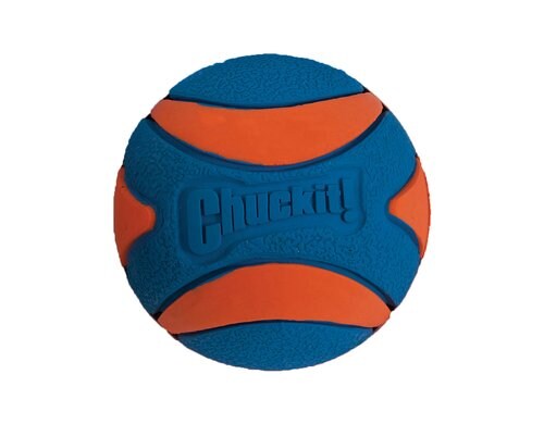 ChuckIt! Ultra Squeaker Ball  L