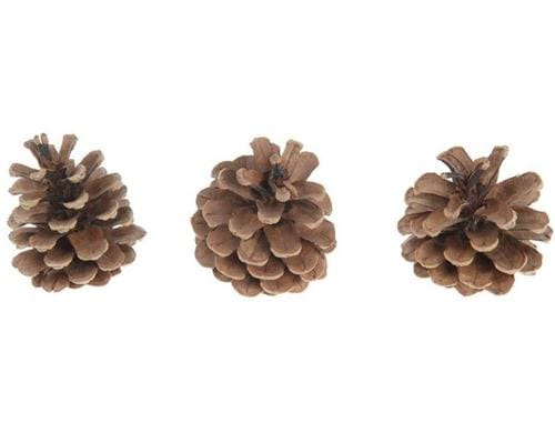 Chalet Deko Zapfenmischung Kiefer, Natur, 250gr