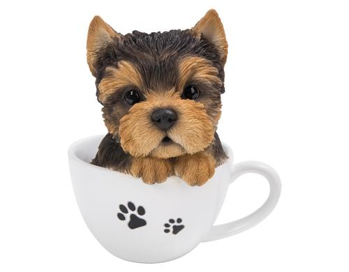 Vivid Arts Yorkshire Terrier Welpe in Tasse Polyresin, 13.1 x 12.4 x 15.3 cm