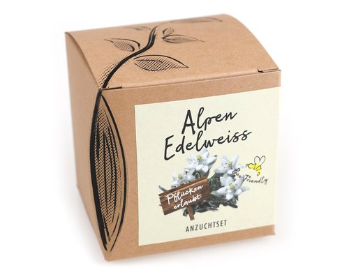 Anzucht Alpenedelweiss Set mit Saatgut des Alpenedelweiss