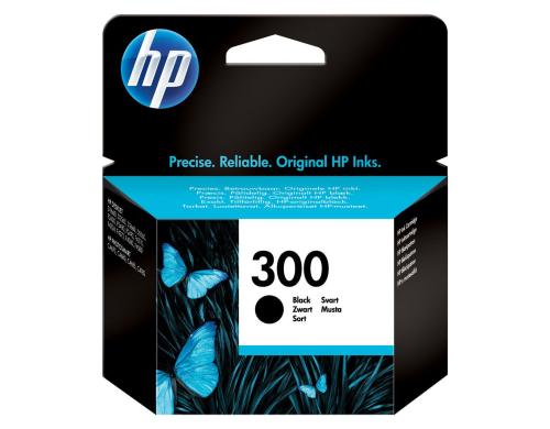 HP Tintendruckkopf schwarz (CC640EE, 300)
