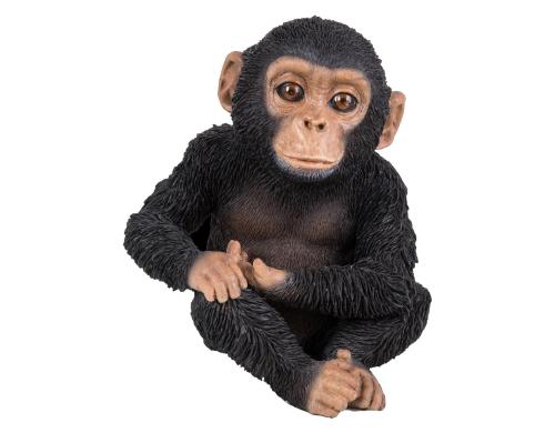 Vivid Arts Baby Schimpanse, sitzend Polyresin, 12.5 x 10.5 x 14 cm