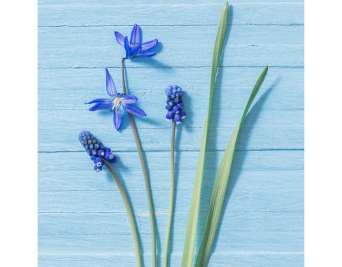 Paper + Design Servietten Blue Flowers 33x33 cm, 20 Stck