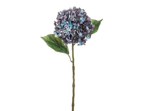 Botanic-Haus Hortensie, Blau, 3er Set 55 cm, Polyester