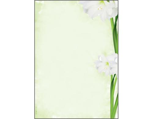 Sigel Motiv-Papier Green Flower A4 Feinpapier (Ink/Laser/Copy), 90g, 25 Blatt