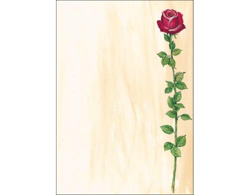 Sigel Motiv-Papier Rose Bloom A4 Feinpapier (Ink/Laser/Copy), 90g, 25 Blatt