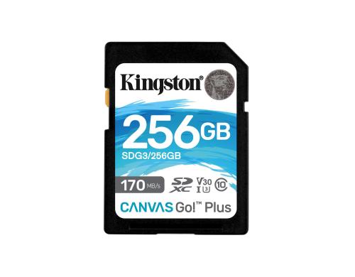 Canvas Go! Plus SDXC Card 256GB UHS-I U3, lesen 170MB/s, schreiben 90MB/s