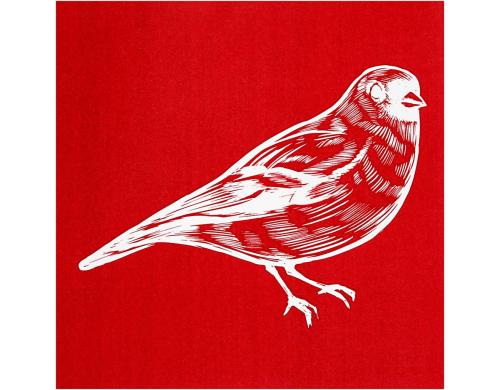 Creativ Company Schablone Siebdruck 20 x 22 cm, Vogel