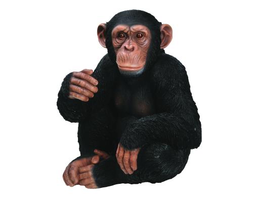 Vivid Arts Schimpanse sitzend, Polyresin 24.5 x 21 x 28 cm