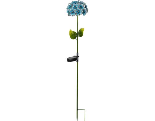 Star Trading  Solar Gartenstock Hortensia Blau, Lichtfarbe Kaltweiss