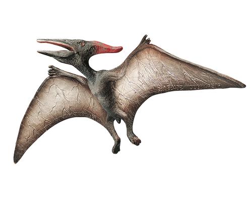 Pteranodon 30 cm