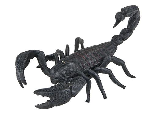 Skorpion 10 cm