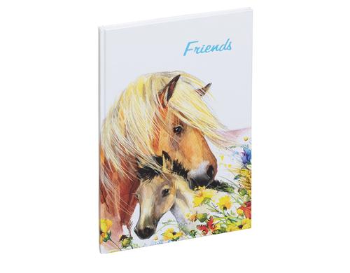 Pagna Freundebuch Pferde Idylle schmutzabweisende Laminierung, 60 Seiten