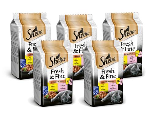 Sheba Fresh & Fine in Sauce feine Vielfalt 5x 6x50g