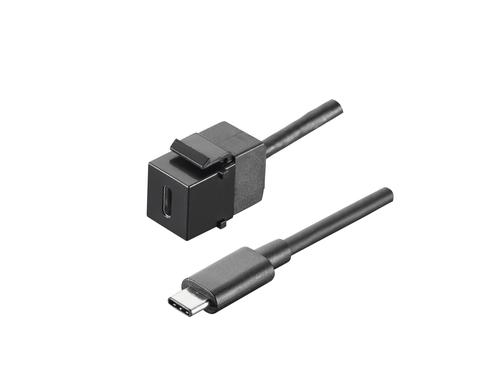 Bachmann Custom Modul, USB C/C 3.1 Keystone Buchse C / Kabelpeitsche C