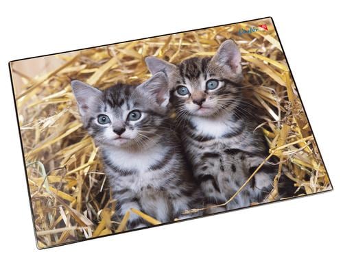 Lufer Schreibunterlage Katzen im Stroh 40 x 53 cm