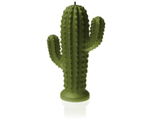 Candellana Kerze Kaktus, Grn 20.2 x 15.5 x 7 cm, Brenndauer 69h