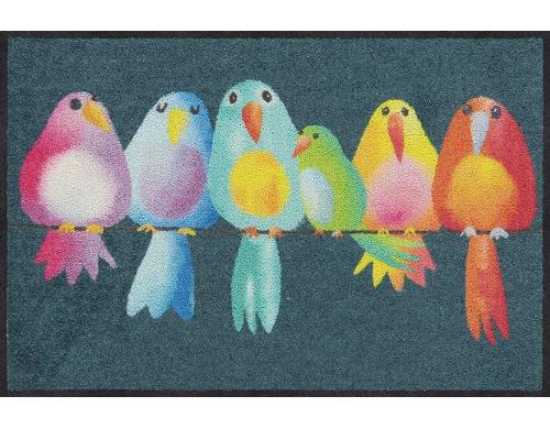 Salonlwe Rainbow Birds  Fussmatte 50x75 cm, Flor Polyamid, Anti-Rutsch