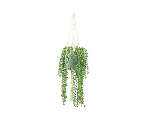 Dekomat Erbsenpflanze im Topf mit Seil H: 100 cm gesamt,