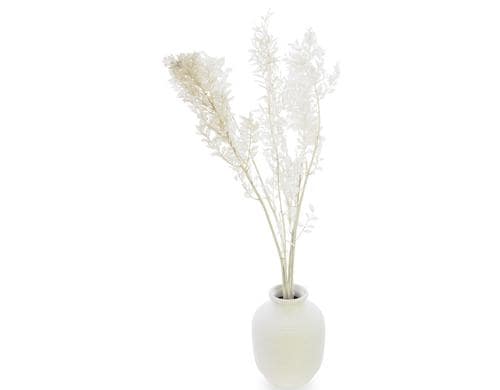 Soli Collection Ruscus weiss L: 70-75cm