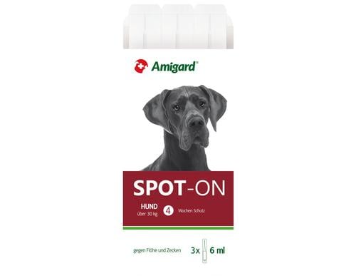 Amigard Spot-on Hund >30kg, 3x6ml 