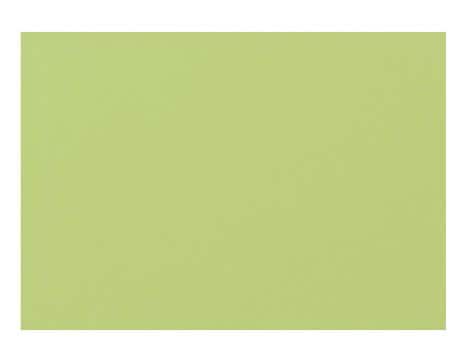 Biella Karteikarten farbig A7, grn, blanko, 100 Stk