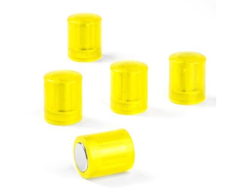 Tafelmagnete zylindrisch gelb transparent, 5 Stk.