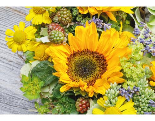 Natur Verlag Blankokarte Sommer Sonnenblumen 17,5 x 12,2 cm