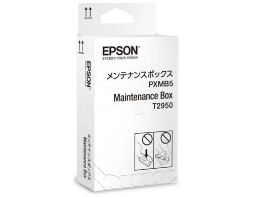 Epson Maintenance Box C13T295000 zu WF-100/110W
