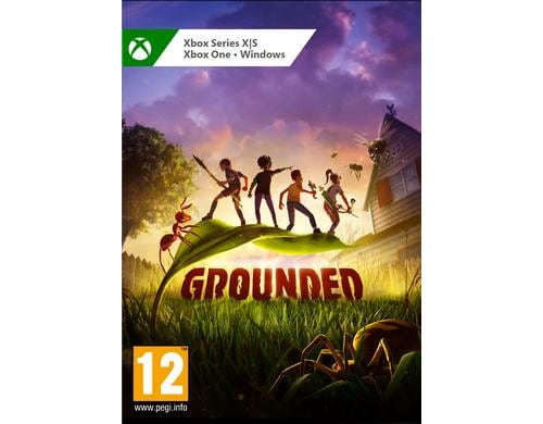 Grounded, XSX PC, Xbox One, Xbox Series S/X