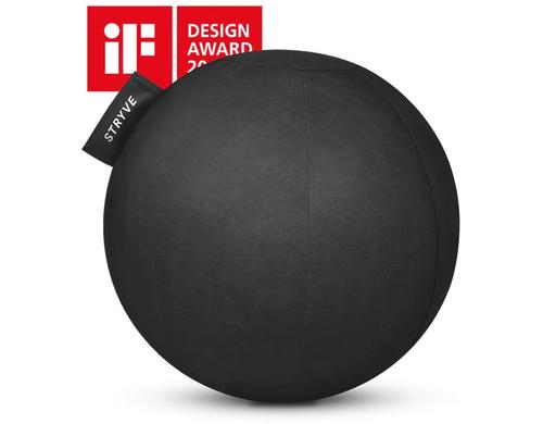 Active Ball Lederstoff  65 cm All Black