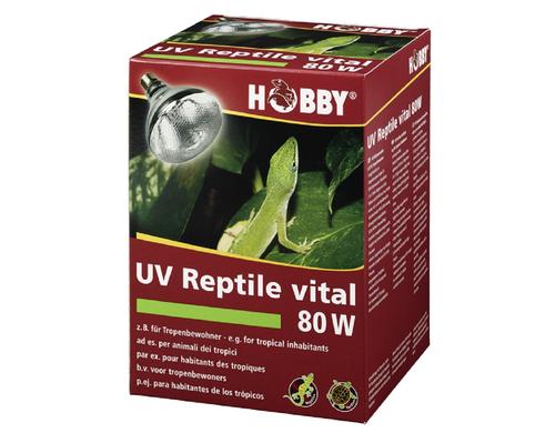 Hobby Terra UV-Reptile vital 80W