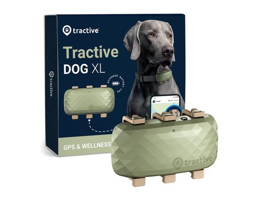 Tractive Hunde Tracker GPS DOG XL grn