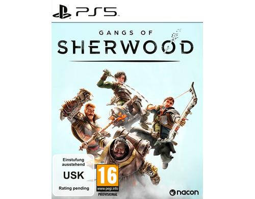 Gangs of Sherwood, PS5 Alter: 16+