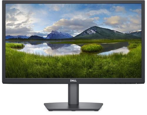 Dell 22 Monitor 