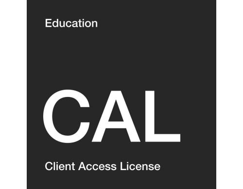 MS Liz SQL User CAL EDU, Open Value EES, Level F, NL,  SL