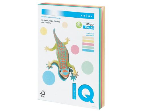 IQ farbiges Universalpapier 80g/m2 A4 Packung  250 Blatt assortiert (5 x 50Bl.)