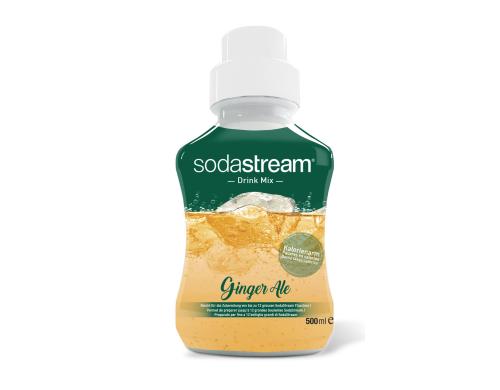 Soda-Mix Ginger Ale 1 Stck  500 ml