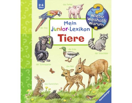 WWW Mein junior-Lexikon: Tiere RAV Kinderbcher