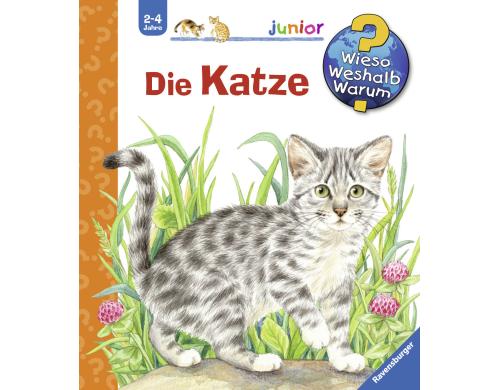 WWWjun21: Die Katze RAV Kinderbcher