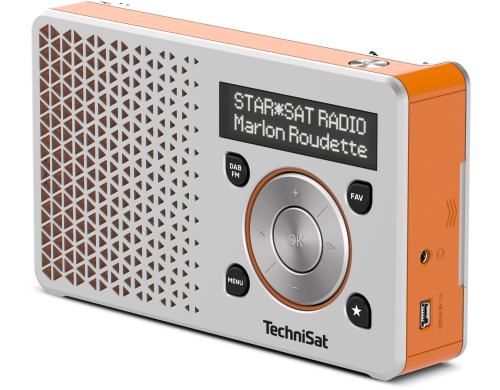 Technisat DigitRadio 1, DAB+ RAdio Orange/Silber, Akku bis 10h