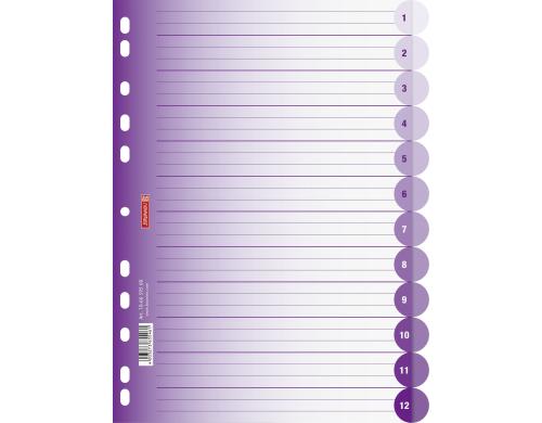 Brunnen Register A4 Colour Code 12-teilig, purple