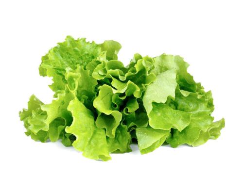 Click and Grow Grner Salat Nachfllpackung 3er Set