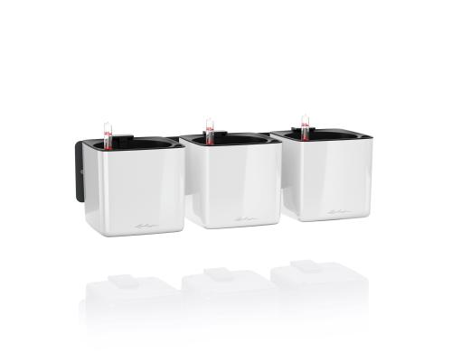 Lechuza Green Wall Home Kit Glossy,weiss HG