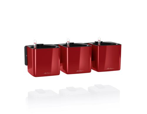 Lechuza Green Wall Home Kit Glossy,scarlet rot HG