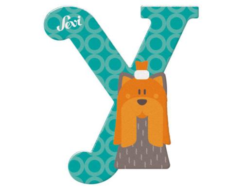 Buchstabe Y Yorkshire 