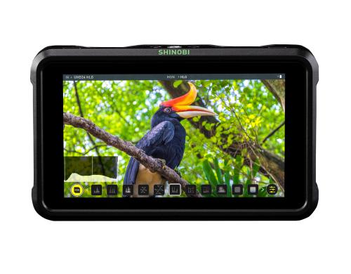 Atomos Shinobi HDMI 